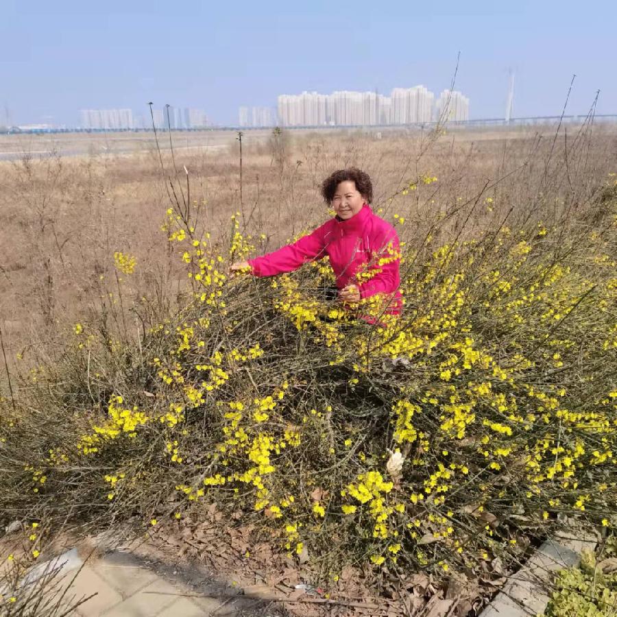 【雅诗总会】精美藏头诗欣赏之六十二《大雪快乐》(外七首)(图3)