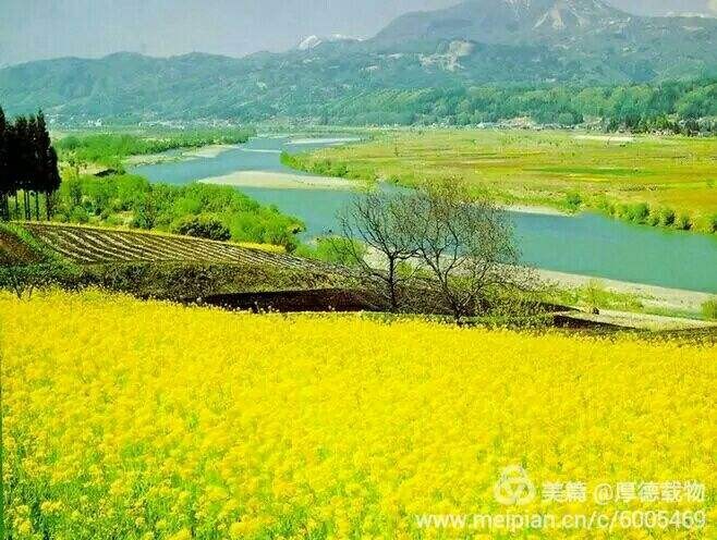 琦琦赵朗诵【致敬新时代的英雄】作者/黄赞高(图5)