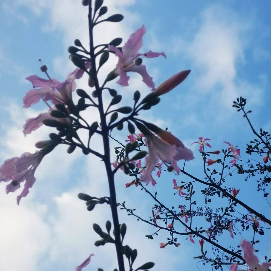 晴天备把伞永远成不了落汤鸡 文/苏州漫（图4）