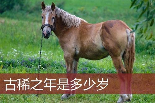 【经典推荐】“农民诗人”曹南强//我是农民｛系列作品展十首｝（图5）