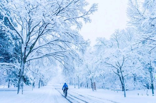 《我爱初冬的第一场雪》作者:昨夜天【主播:马艺军】【桃源国际诗歌集团】用声音传递温暖以诵读致敬人生♬（图5）