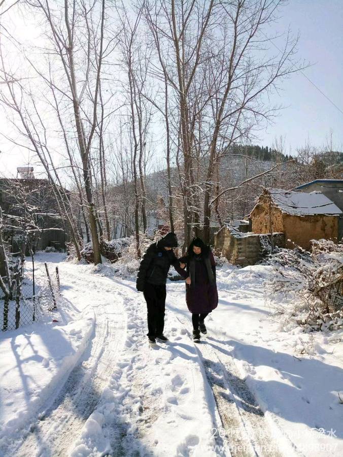 中华诗艺社黑龙江分社推介/诗人林杨:雪花飘起时遇到了你（图4）