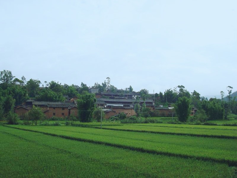 孟国泰新教育公益行(8):麦地冲篇(图2)