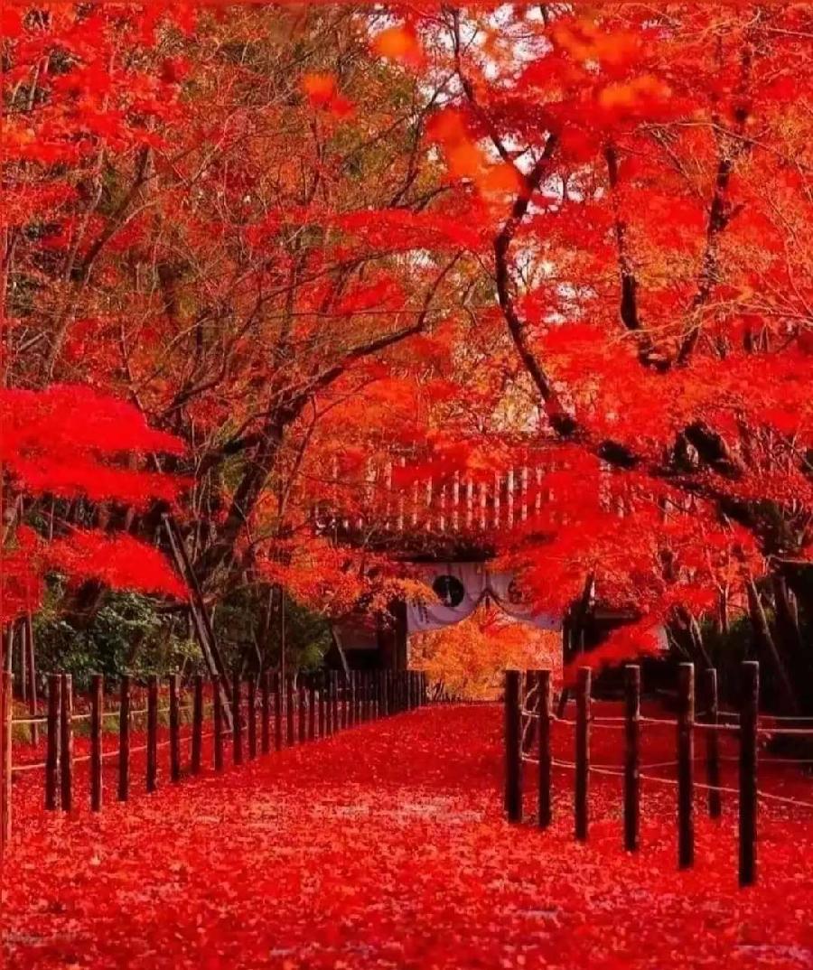 【都市头条向幸福出发编辑部】第719期 修养 文/如月（图2）