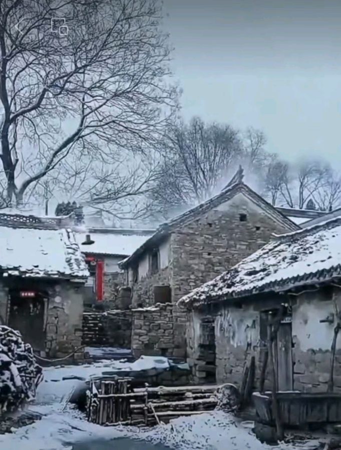 故乡的雪花 作者 张德群 京津沪头条（图7）