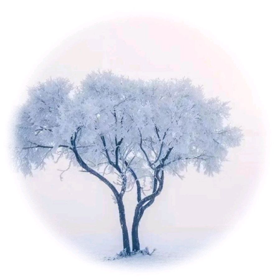 中华诗艺社黑龙江分社推介/青士李振汉:彤云弥旷宇 瑞叶漫飞扬（图4）