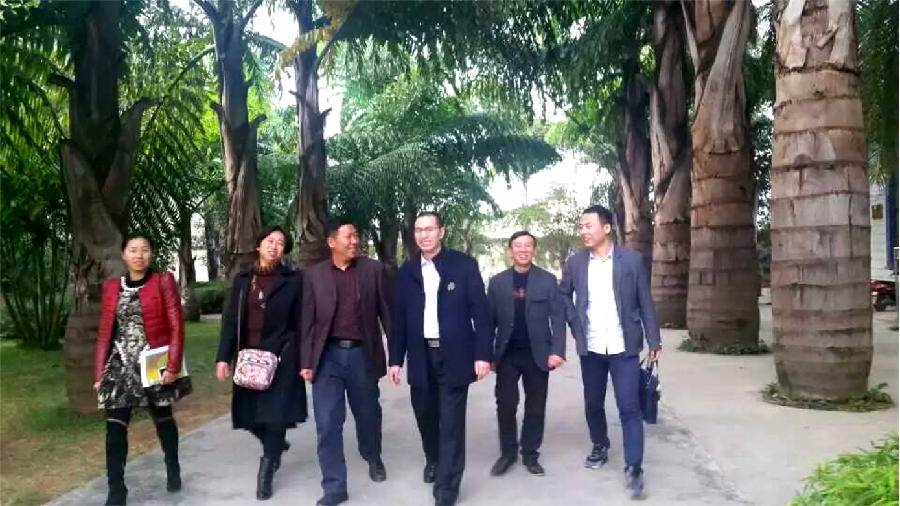 蒙自教育的亮光（图7）
