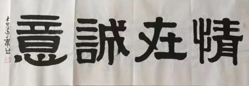 知名书法家苏文华作品（图12）