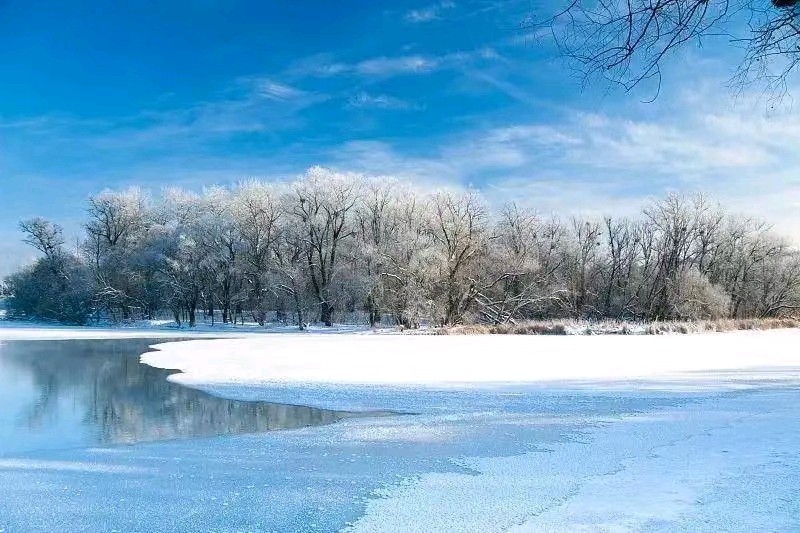 中华诗艺社黑龙江分社推介/雪山飞狐:如梦令·冬季印象(魏泰体）（图12）