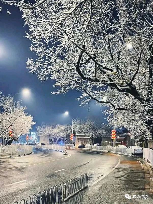 七绝：赠某人