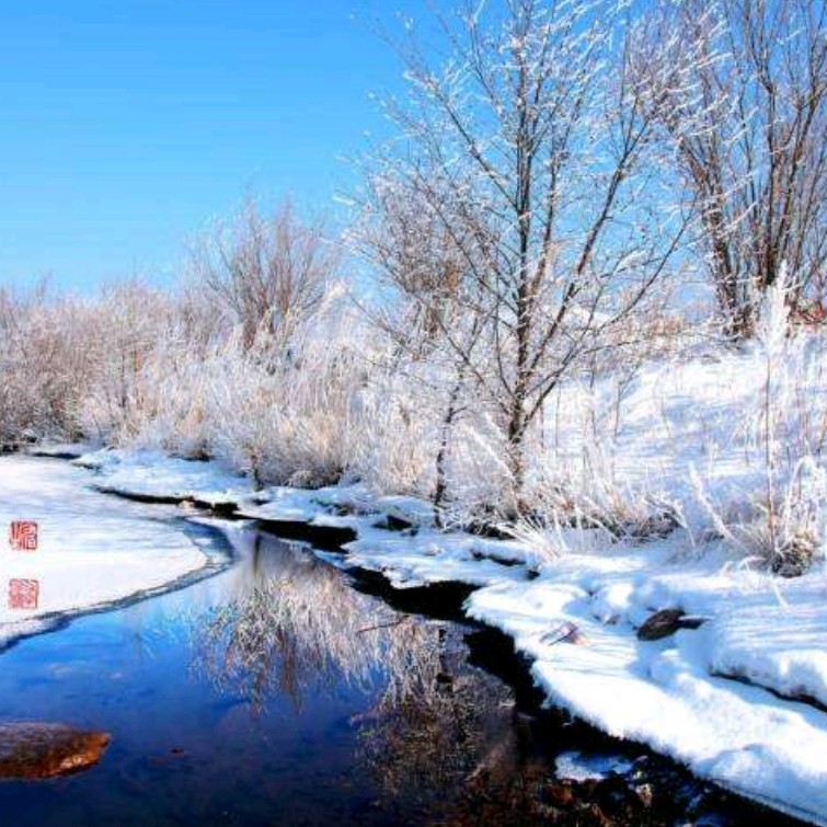 《九江文学社:北京头条》群英荟萃(图25)