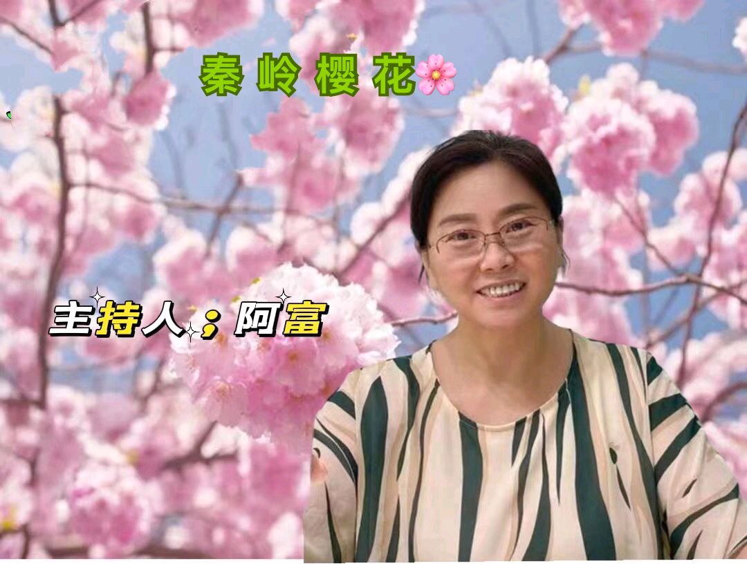 张巨山力作/秦岭樱花（图11）