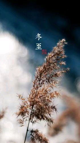 中华诗艺社黑龙江分社推介/诗人林杨(黑龙江):冬至（图7）