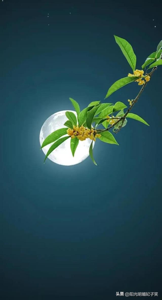 【都市头条向幸福出发编辑部】第750期 感激远东 文 刘之龙 主播 张春荣（图2）