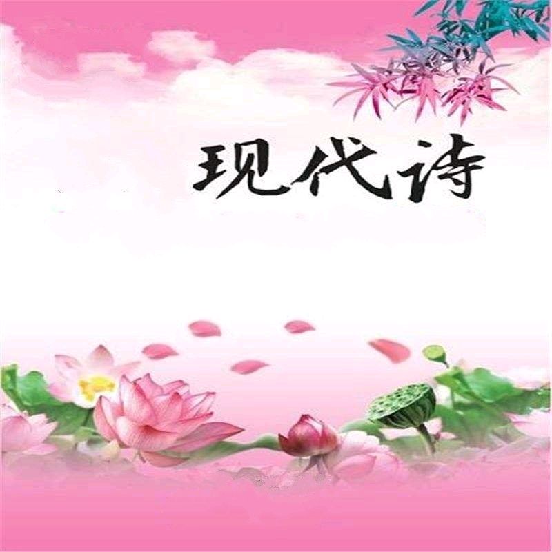 《晨光》作者:王明雪(雪歌)【主播:芳草青青】【桃源国际诗歌集团】用声音传递温暖以诵读致敬人生♬（图4）