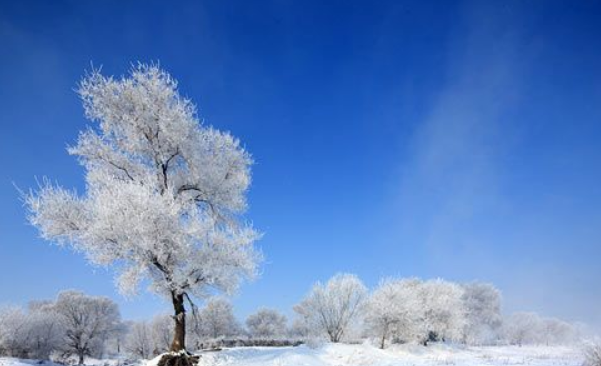 冬至‖巴彦诗协诗词卷【286】(图6)