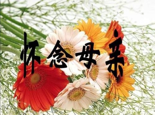 【经典推荐】“农民诗人”曹南强//冬至｛系列作品展｝（图3）