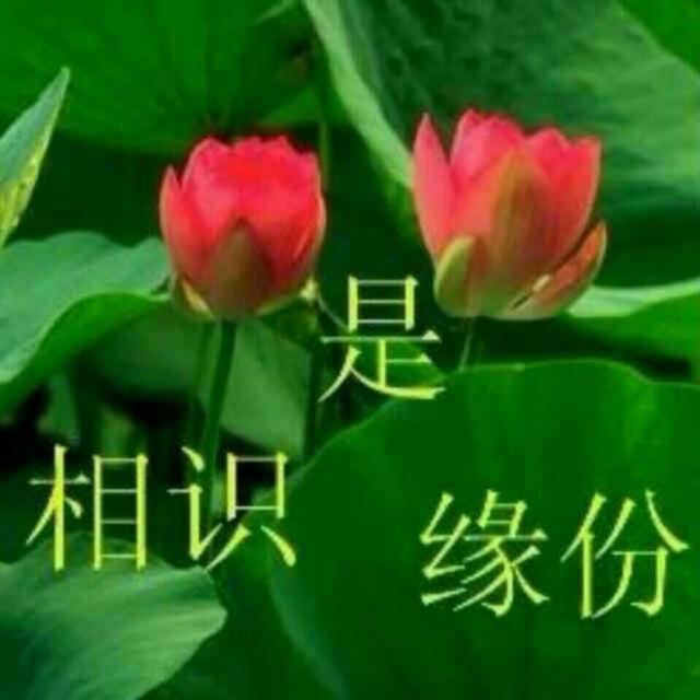 相守与真情文／周崇民（图3）