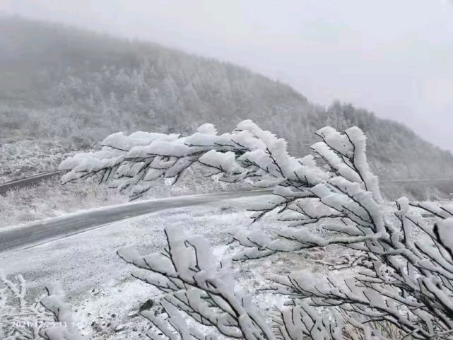 中华诗艺社黑龙江分社推介/雪山飞狐:花非花·迎冬至(外一首)【原创】（图6）