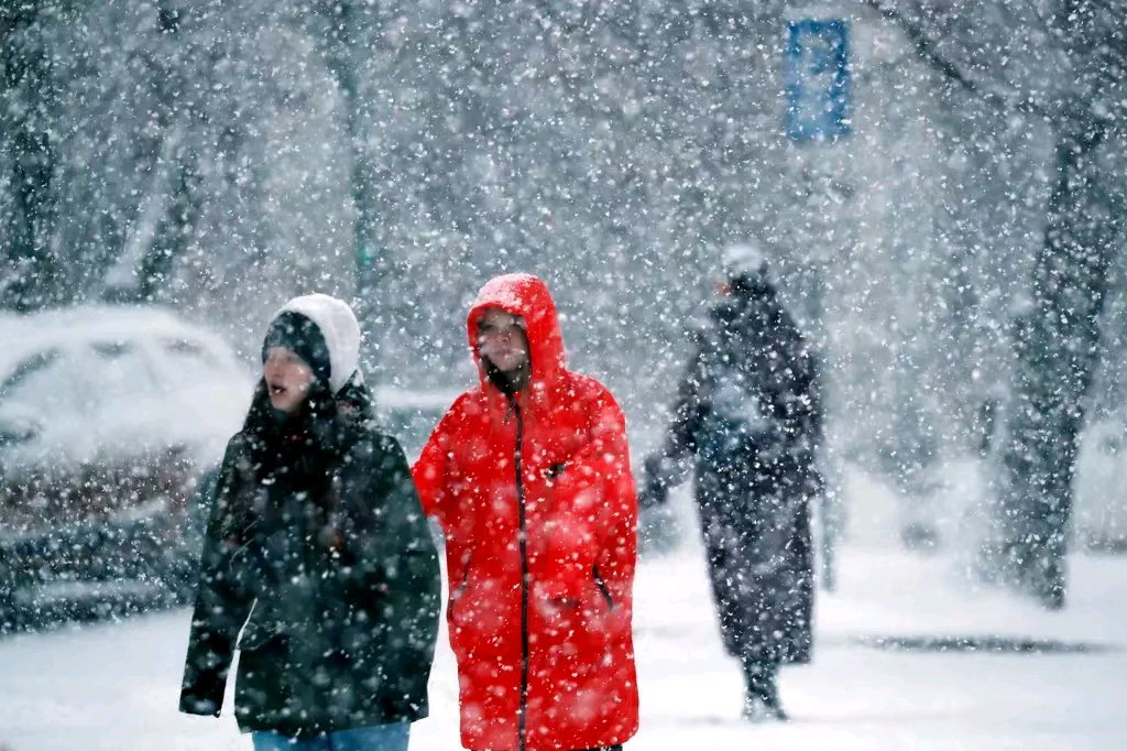 中华诗艺社黑龙江分社推介/雪山飞狐:花非花·迎冬至(外一首)【原创】（图8）