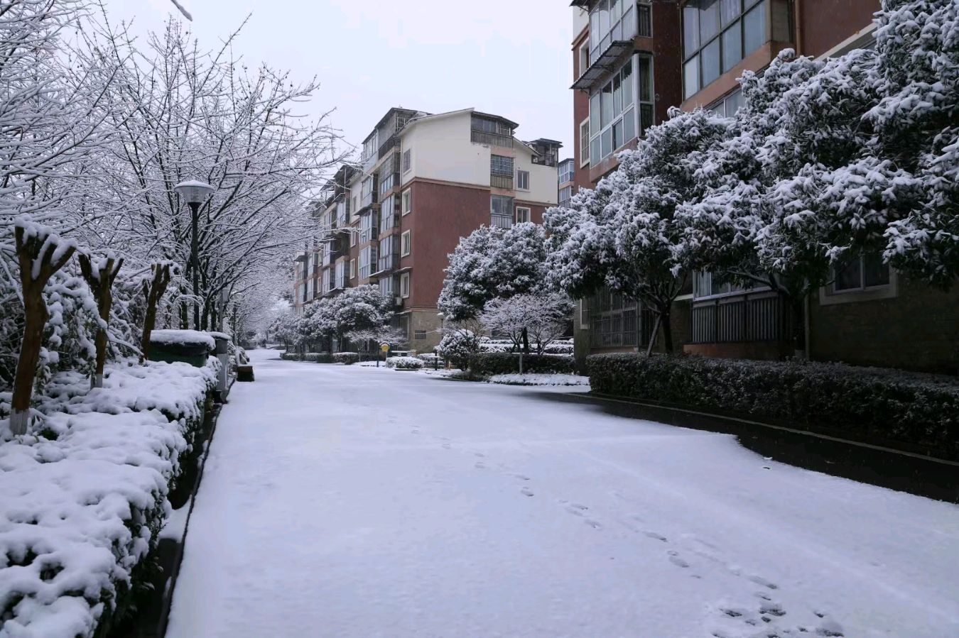 中华诗艺社黑龙江分社推介/雪山飞狐:花非花·迎冬至(外一首)【原创】（图7）