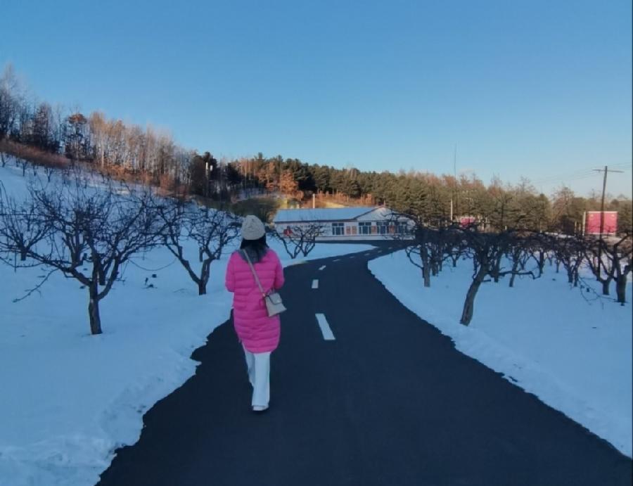 杨柳诗歌《千山雪梨花梦》主播:梁子 ;编辑:小鱼儿 【秦岛韵声】(第1002期)(图7)