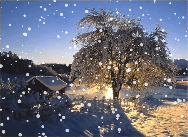 【新诗大观】期待一场雪||文/花惜柔