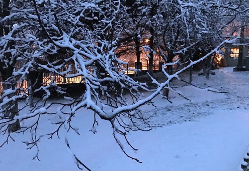 【新诗大观】期待一场雪||文/花惜柔（图5）