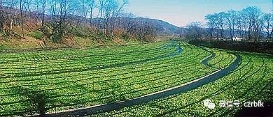 【都市头条向幸福出发编辑部】第791期 小山之大 吴相艳