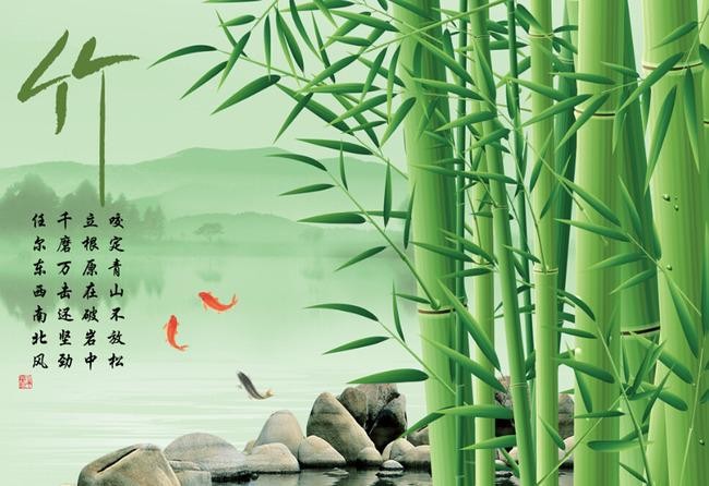 《人生絮语》文/清风明月(图4)