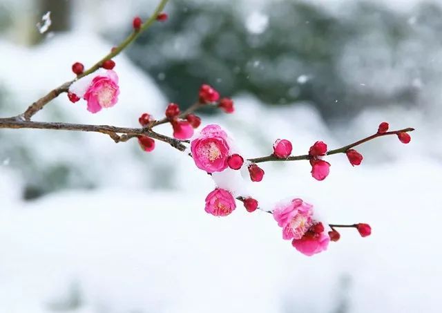 【都市头条向幸福出发编辑部】第863期 李炳天将军《边防•家乡》之七 啊,界碑,界桩