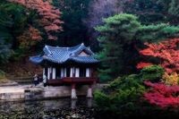 【经典推荐】笨笨鼠//醉花阴•火烛心｛外三首｝（图3）