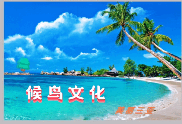 《候鸟文化十谈专刊5-6》作者/神羊诵读/雪绣冰绮 编辑/雨杉【花雨馨声】有声文学平台【第164期】(图2)