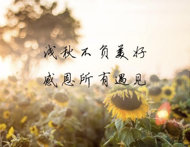 【经典推荐】昨夜天//红尘有你 感恩所有的遇见（图4）