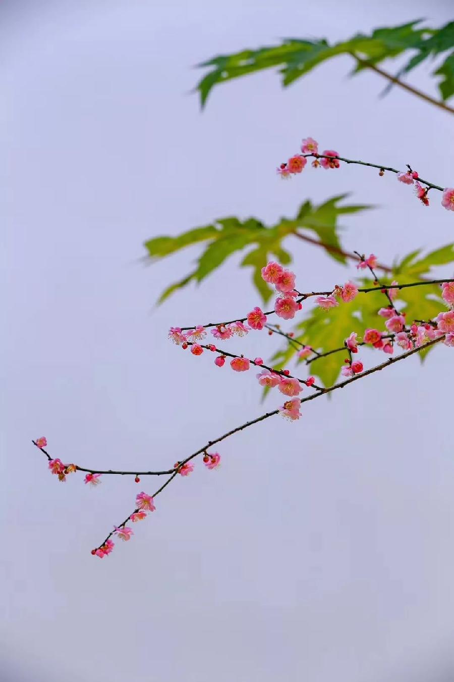 【都市头条向幸福出发编辑部】第872期 李炳天将军《边防•家乡》之十六 你一定也想着我(图5)