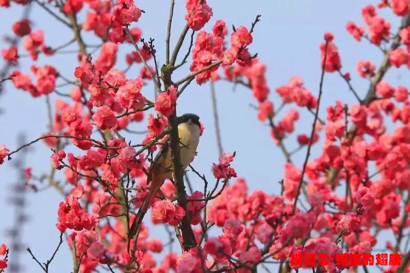 【都市头条向幸福出发编辑部】第872期 李炳天将军《边防•家乡》之十六 你一定也想着我(图3)