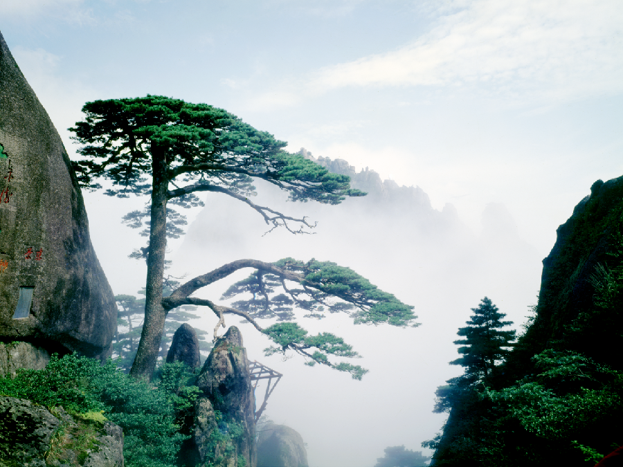 星火诗社一百期梁同余个人专辑《百景生辉,百诗添彩》(图47)