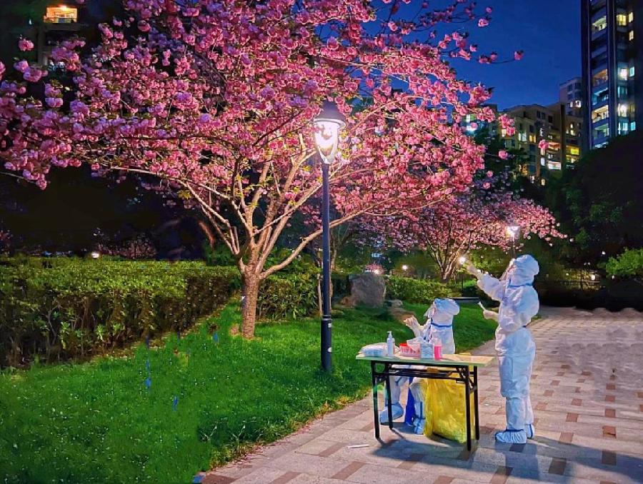 《致敬英雄上海一线天使》作者：凌霞珍（图4）
