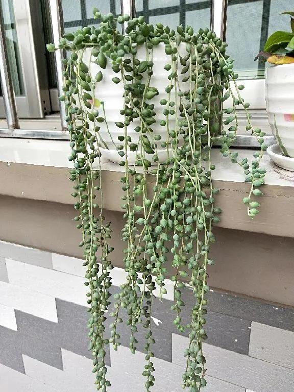 计德辉诗词四首（图3）