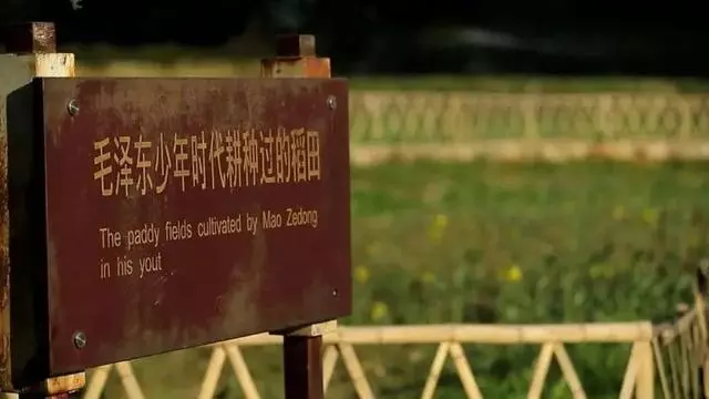 今天，让我们一起缅怀敬爱的领袖毛主席！（图3）