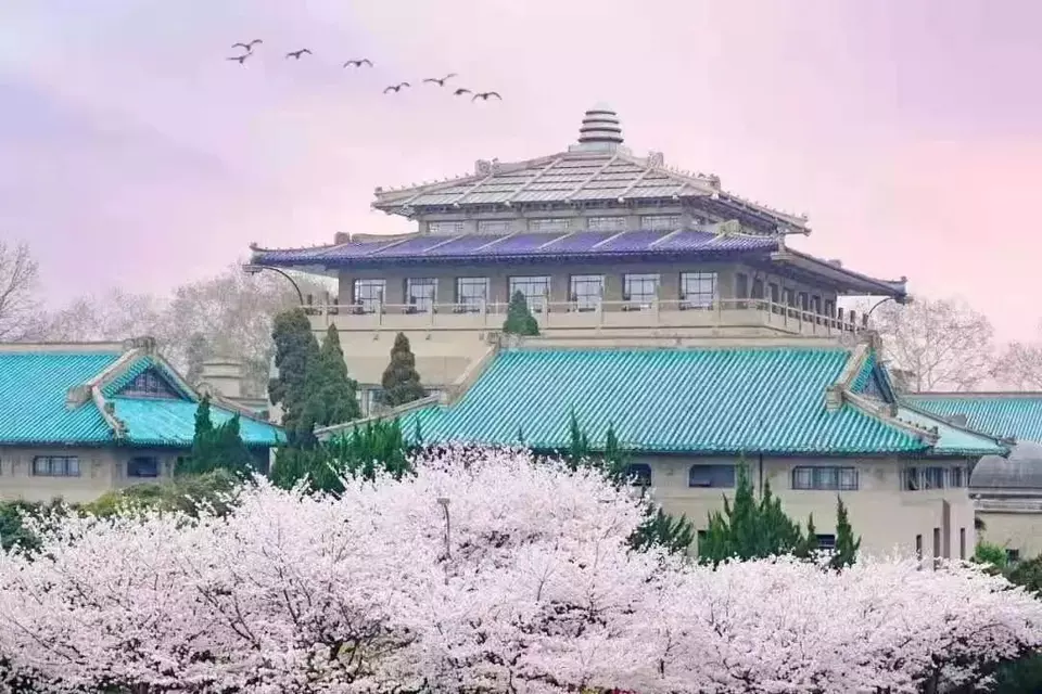 星火诗社一百期梁同余个人专辑《百景生辉,百诗添彩》(图218)