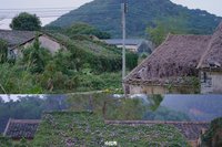 星火诗社一百期梁同余个人专辑《百景生辉,百诗添彩》(图226)