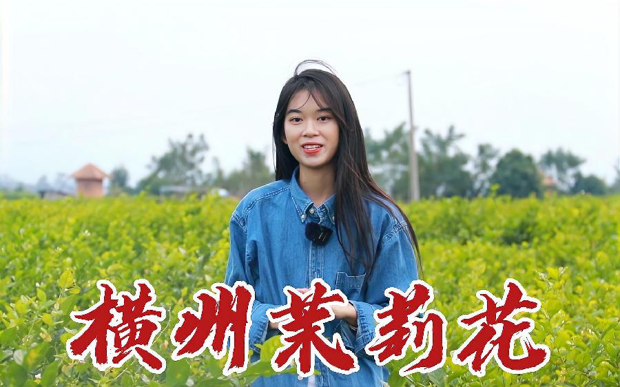 星火诗社一百期梁同余个人专辑《百景生辉,百诗添彩》(图242)