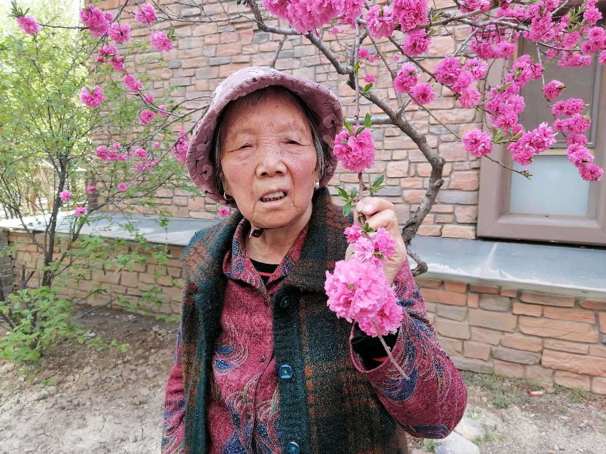 母爱如水 文/赵正霞（青海）京津沪头条（图2）