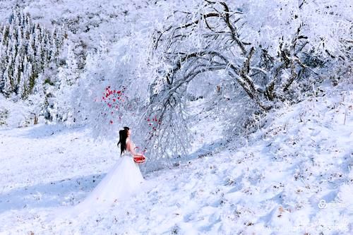 《雪花泪》作者:水沐【主播:清泉】【桃源国际诗歌集团】用声音传递温暖以诵读致敬人生♬（图5）