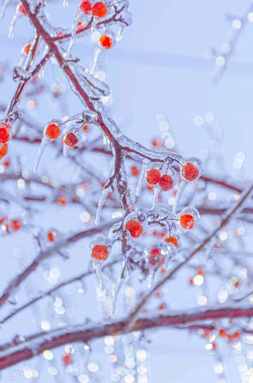 《雪花泪》作者:水沐【主播:清泉】【桃源国际诗歌集团】用声音传递温暖以诵读致敬人生♬（图7）