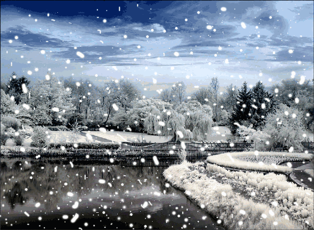 《雪花泪》作者:水沐【主播:清泉】【桃源国际诗歌集团】用声音传递温暖以诵读致敬人生♬（图6）