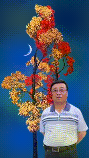 【中国长江文学社】有声文学平台《等待着一场雪》作者米国珍/诵读岁月静好/制作宋梅【第4938期】（图4）