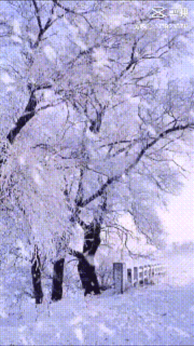 【中国长江文学社】有声文学平台《等待着一场雪》作者米国珍/诵读岁月静好/制作宋梅【第4938期】（图2）