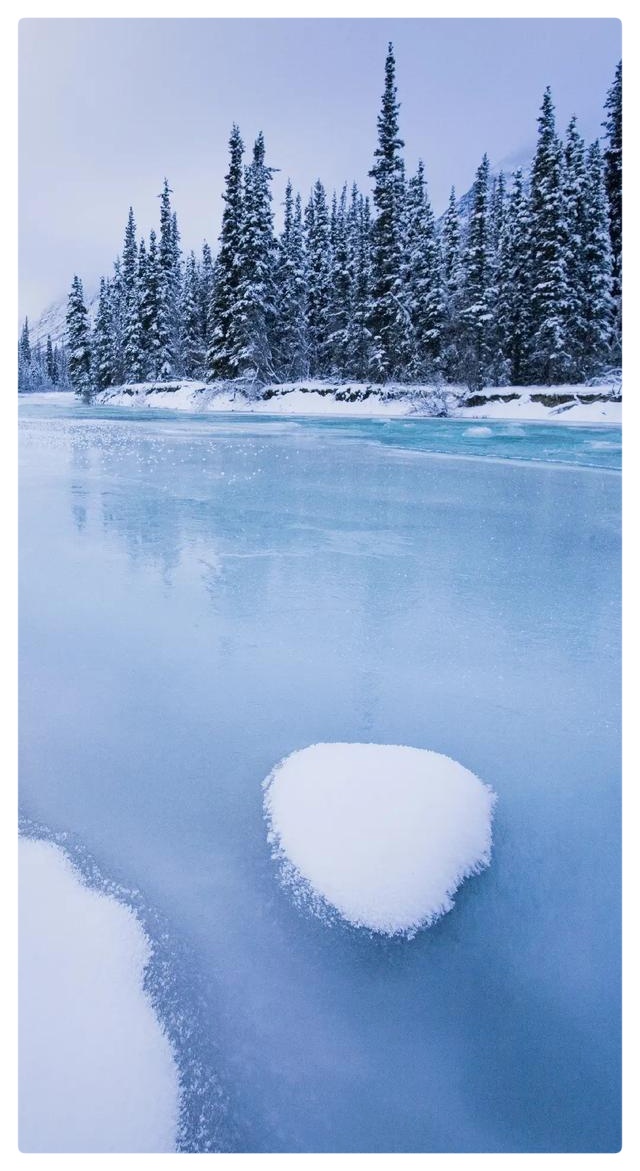《冬韵 落雪》作者:六月荷 朗诵/配乐:柳顺涛(图7)